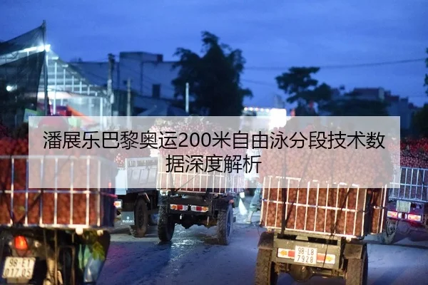 潘展乐巴黎奥运200米自由泳分段技术数据深度解析