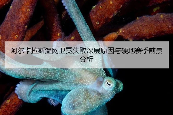a-er-ka-la-si-wen-wang-wei-mian-shi-bai-shen-ceng-yuan-yin-yu-ying-di-sai-ji-qian-jing-fen-xi-3-329.jpg