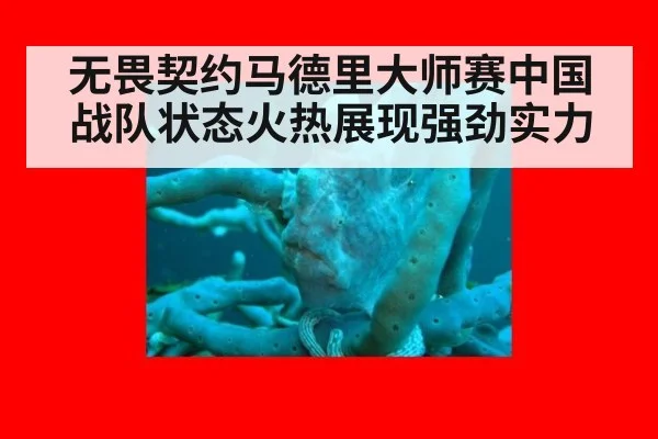 无畏契约马德里大师赛中国战队状态火热展现强劲实力