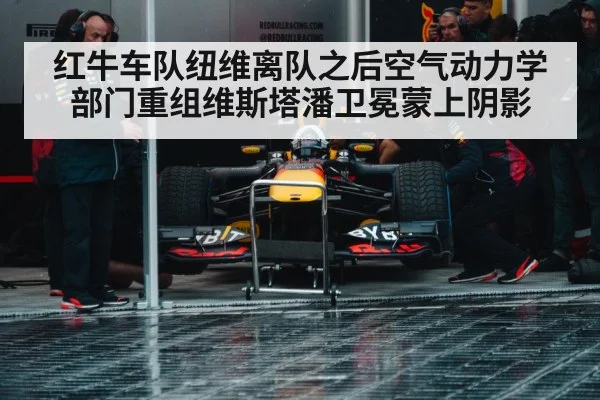 Red Bull racing team