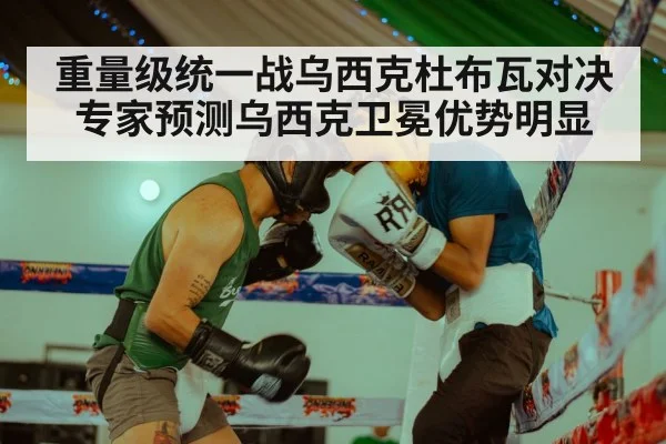 重量级统一战乌西克杜布瓦对决 专家预测乌西克卫冕优势明显